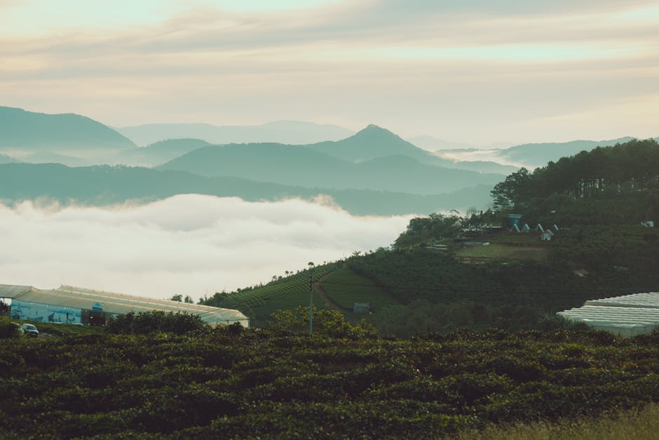 Persona trabajando en un dashboard de datos